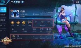 北凉王者最新爆料视频,揭秘神秘势力与神秘英雄的传奇故事